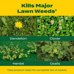 Scotts broadleaf weed killer in action targeting common lawn weeds.
