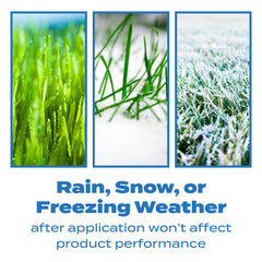 Scotts Halts granules on a dry lawn illustrating pre-emergent weed prevention.