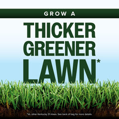 Scotts Kentucky 31 seed blend image shows dense green lawn potential.