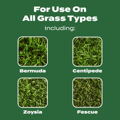 Scotts Turf Builder all grass types—works across varieties.