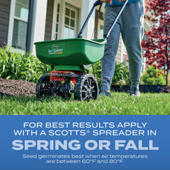 Scotts Turf Builder seedling growth at two inches shows early establishment