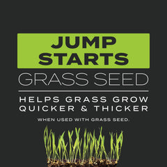 Scotts Turf Builder Triple Action image showing prevention of crabgrass and weeds.