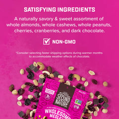 Second Nature Wholesome Medley Trail Mix dark chocolate chips close-up for flavor depth.