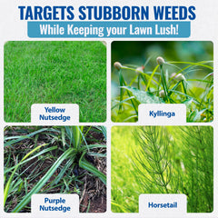 Applying Sedgehammer Plus on lawns targets purple and yellow nutsedge