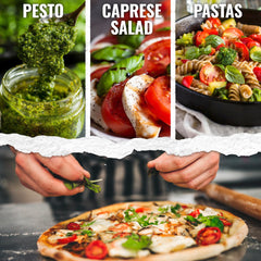 Seed Needs Basil Seeds Italian Large Leaf Packet for fresh pesto at home.
