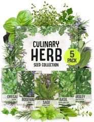 Seed Needs Italian basil seeds packet for fresh kitchen herbs.