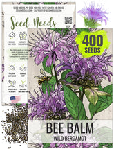 Seed Needs Bee Balm seeds ready to sow for wild bergamot blooms to attract pollinators.