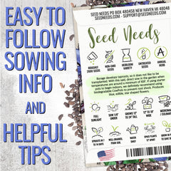 Seed Needs blue borage flowers in bloom for vibrant garden color