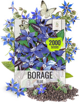 Seed Needs blue borage seeds packet with sowing guide for easy planting