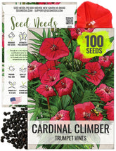 Seed Needs Cardinal Climber seeds pack front ready for spring planting and color