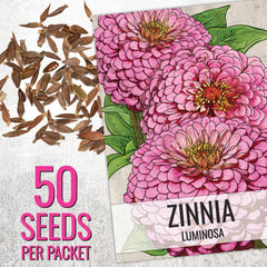 Seed Needs Cherry Queen Zinnia seed packet with lively pink-red blossoms