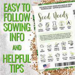 Seed Needs cilantro plants thriving in a garden under sun