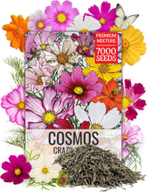 Seed Needs Cosmos Crazy Blend packets front display multiple varieties for colorful borders.