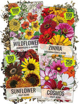Seed Needs Crazy Cosmos Mix blooms attract butterflies for a vibrant garden