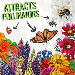 Seed Needs Crazy Sunflower Mix tall blooms create sunny borders and pollinator habitat