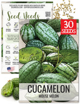 Seed Needs Cucamelon appearance: tiny striped fruits ideal for fresh eating