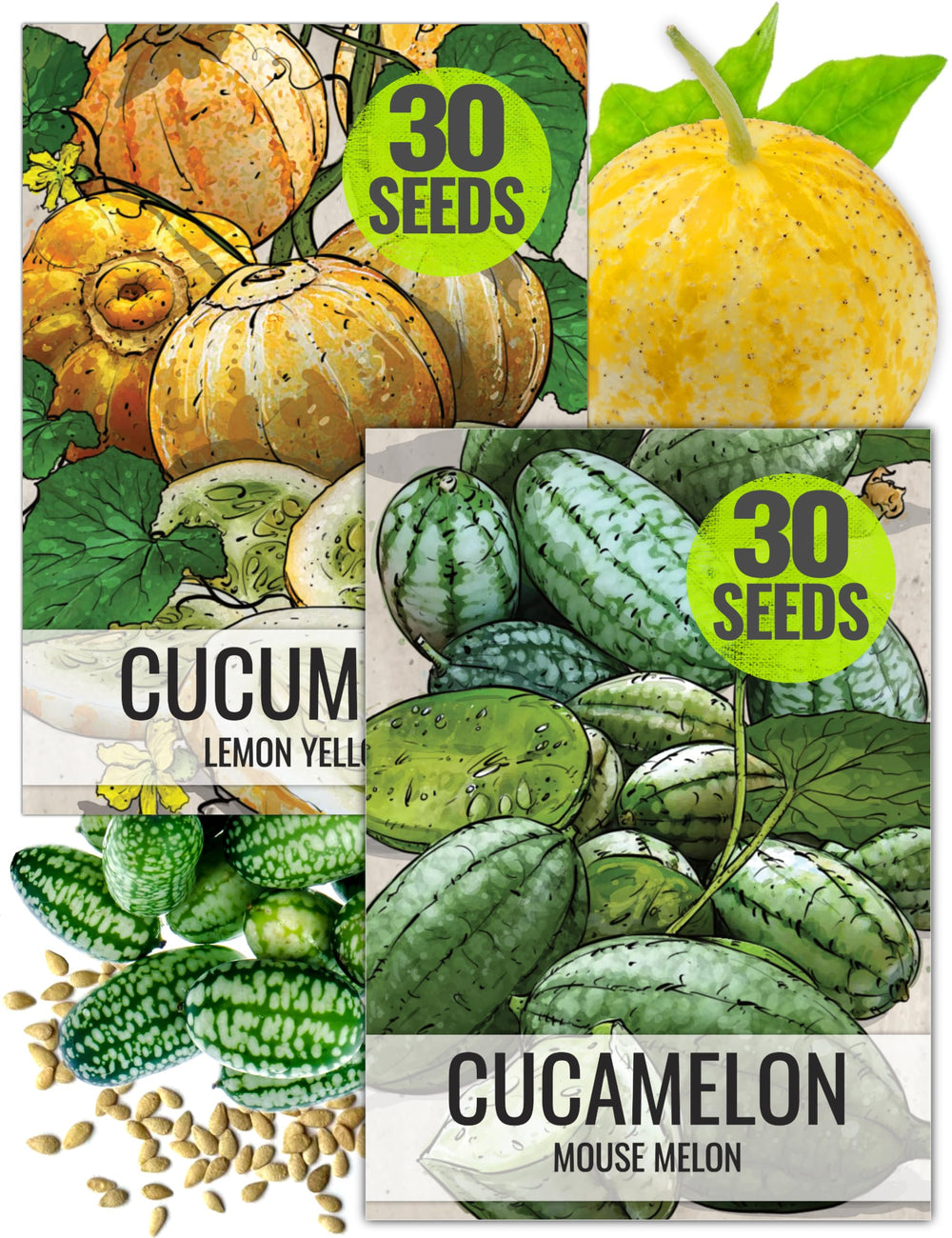 Seed Needs cucamelon seeds showcase grape-sized fruits for small-space gardens.