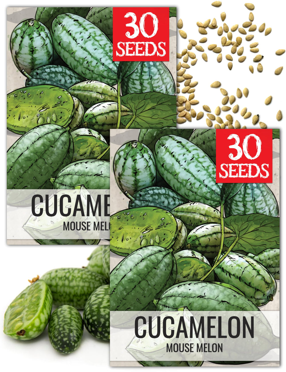 Seed Needs Cucamelon seeds front packaging, ready for home gardeners