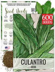 Seed Needs Culantro seeds packet front for easy gardening and flavor exploration