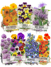 Seed Needs edible wildflower packet front illustration with vibrant blooms