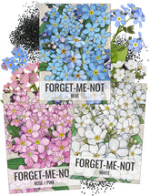 Seed Needs Forget-Me-Not seed packet collection for easy border gardening with blue, pink, and white blooms.