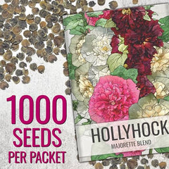 Seed Needs Hollyhock Double Majorette seed pouch closeup showing fresh seeds