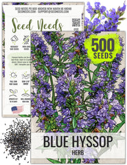 Seed Needs Hyssop blue hyssop flowers attract pollinators in the garden