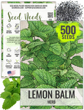Seed Needs lemon balm seeds packaging with sowing details for easy planting