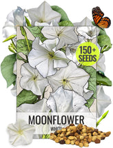 Seed Needs Moonflower seeds packaging illustration with sowing guidance.