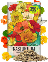 Seed Needs Nasturtium Double Gleam bloom close-up; vibrant colors for edible garnish.