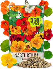 Seed Needs Jewel Mix nasturtium flowers in bloom for edible salads