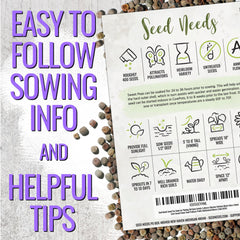 Seed Needs Old Spice Sweet Peas color mix blooms pink purple blue white