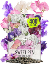 Seed Needs Old Spice Sweet Peas seed pouch ready for colorful planting