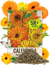Seed Needs Pacific Beauty Mix calendula seeds in pouch ready for sowing.