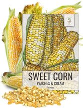 Seed Needs Peaches and Cream seed packet with sowing guidance for germination.