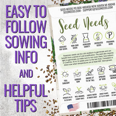 Seed Needs rosemary needle-like leaves close-up highlight herb texture