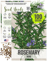 Seed Needs rosemary seeds packet front with sowing tips for home gardens