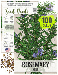 Seed Needs rosemary seeds packet front with sowing tips for home gardens