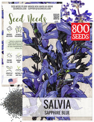 Seed Needs Sapphire Blue Sage seeds in package ready for spring planting.