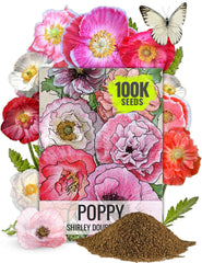 Seed Needs Shirley Mixed Poppy Seeds bag front with bold double blooms for borders