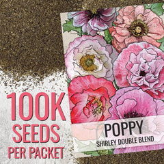 Seed Needs Shirley Mixed Poppy Seeds color spectrum ready for garden beds