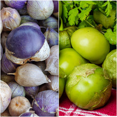 Seed Needs tomatillo seed packet illustration with sowing guidance.