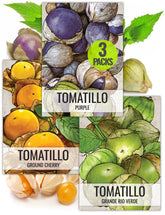 Seed Needs tomatillo variety-pack cover for home garden planning.