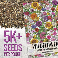 Seed Needs open-pollinated varieties image demonstrates diverse colors for a vibrant backyard meadow