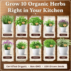 Seedboy plant markers aid herb tracking and organization
