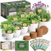 Seedboy 10-herb starter kit planters and pots for fresh, home-grown herbs