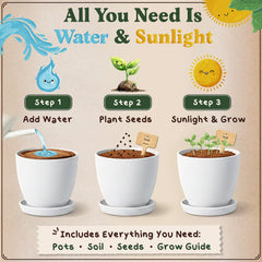 Seedboy seed varieties for versatile home cooking