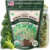 Seedboy broccoli sprouting seeds 8oz bag, ideal for quick home sprouts.