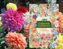 Seeds Of Strength labyrinth dahlia stem close-up showcases sturdy stems for long-lasting bouquets