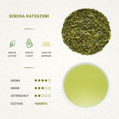 Senbird Premium Sencha in airtight tin preserving freshness for daily sipping